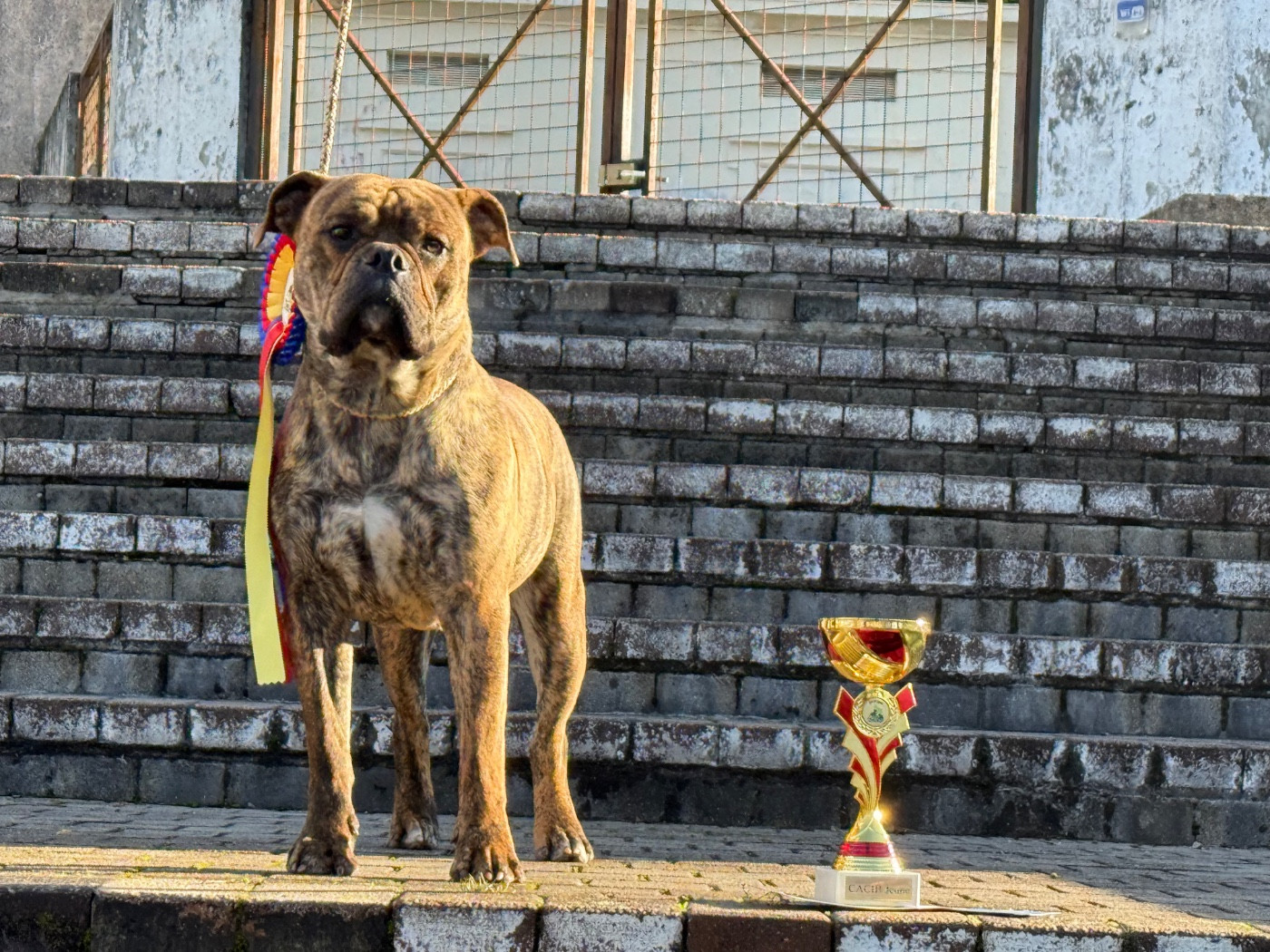 Astree Du Royaume De Thessalie