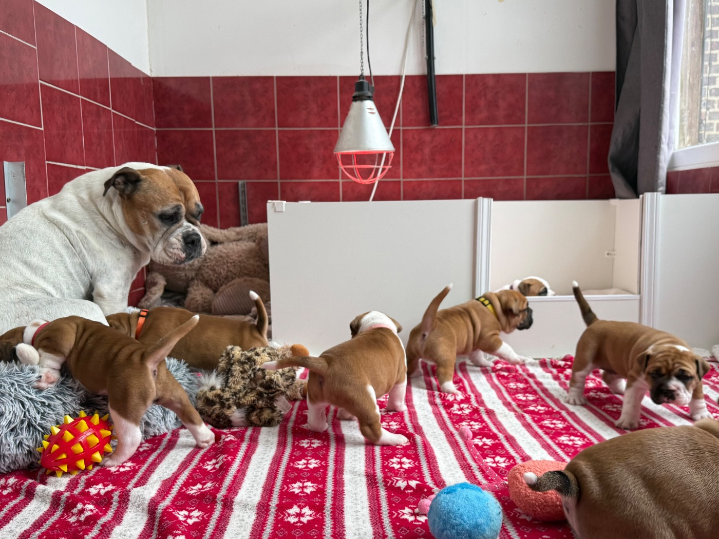 du val de gloire - Les réservations ont commencé